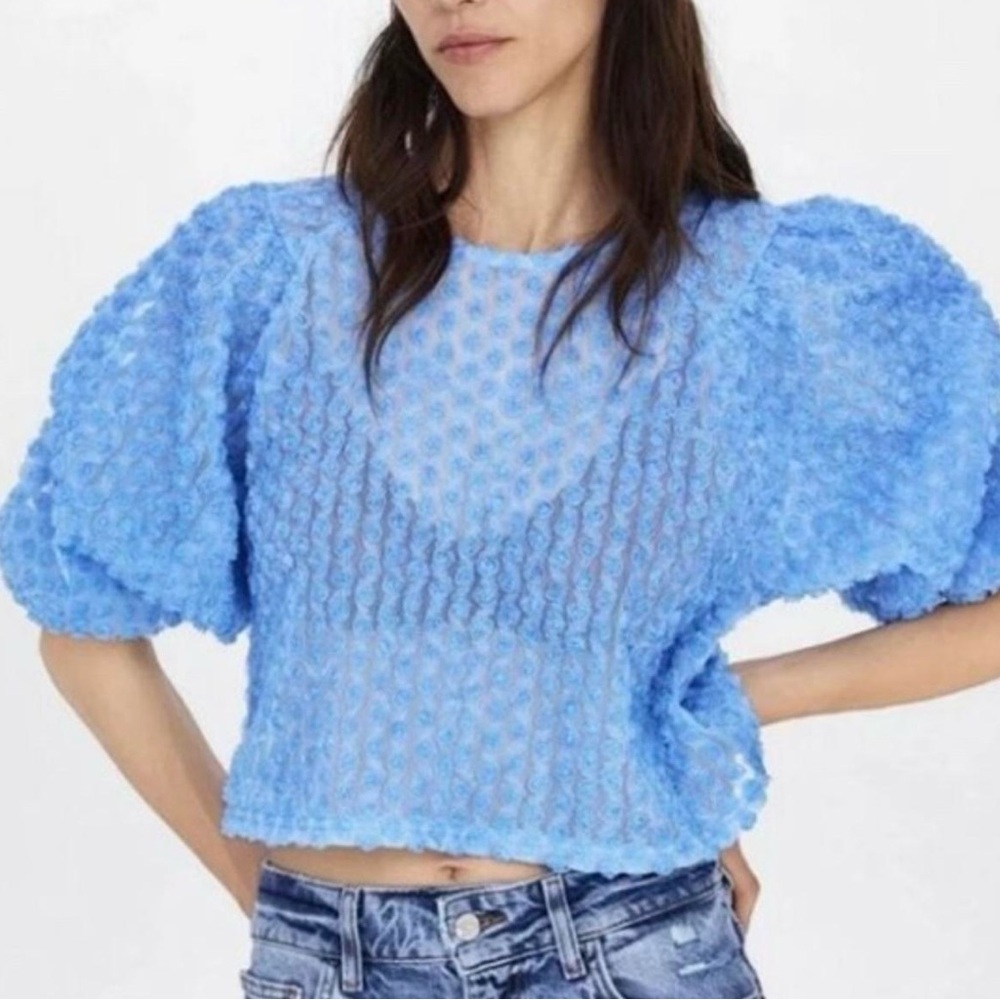 NWOT - Zara Blue Floral Roae Bud Tulle Puff Sleeve Cropped Top size M